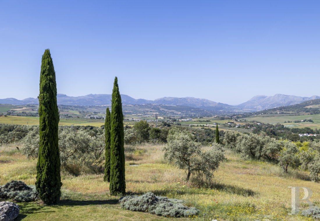 Au sud de l’Espagne, près de Ronda, une villa d’architecte au cœur des terres andalouses - photo  n°5